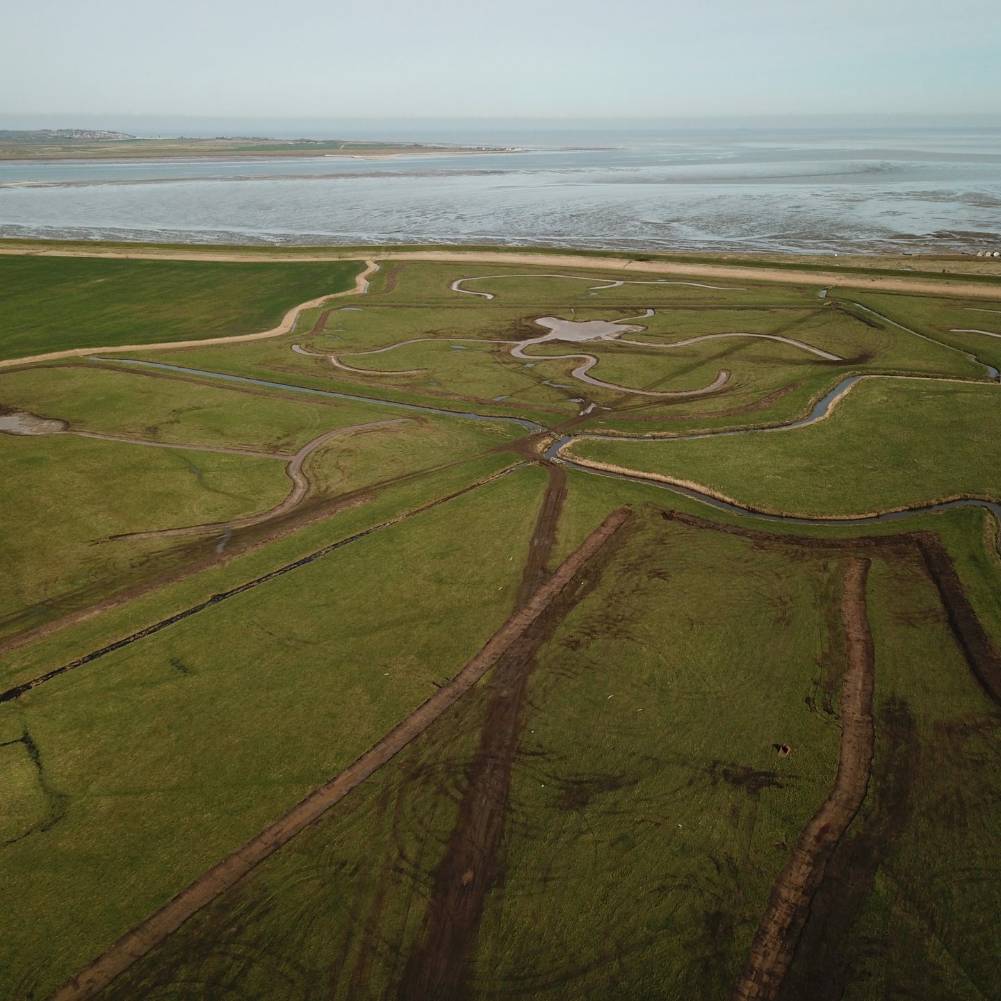 wetland project for solar farm