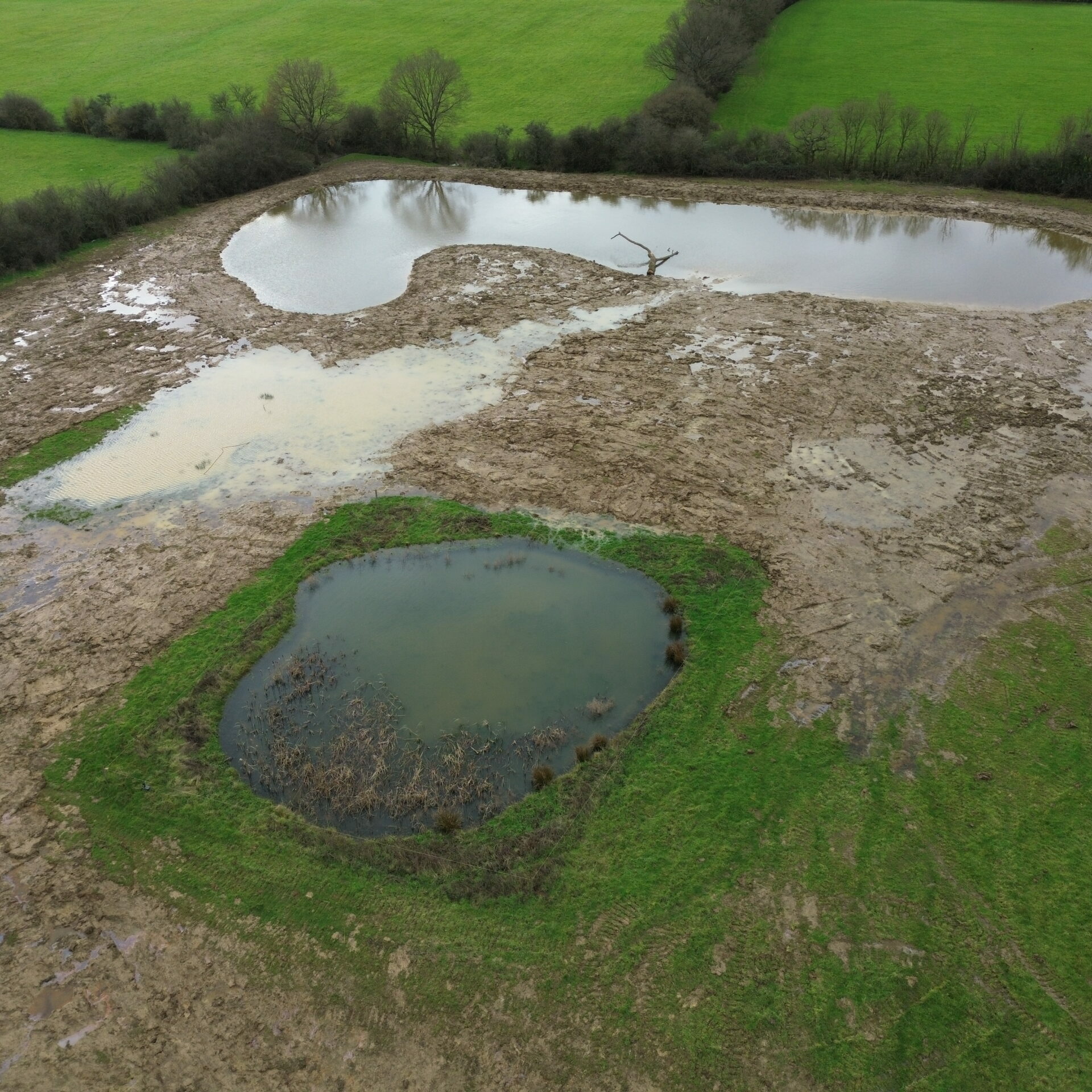 Wetland work after completion