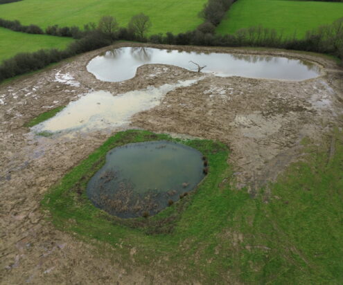 Wetland work after completion