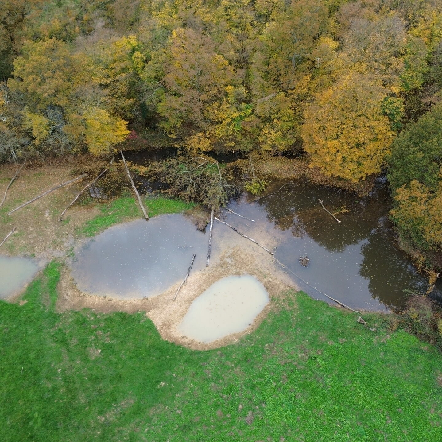 River Beult Natural Flood Management