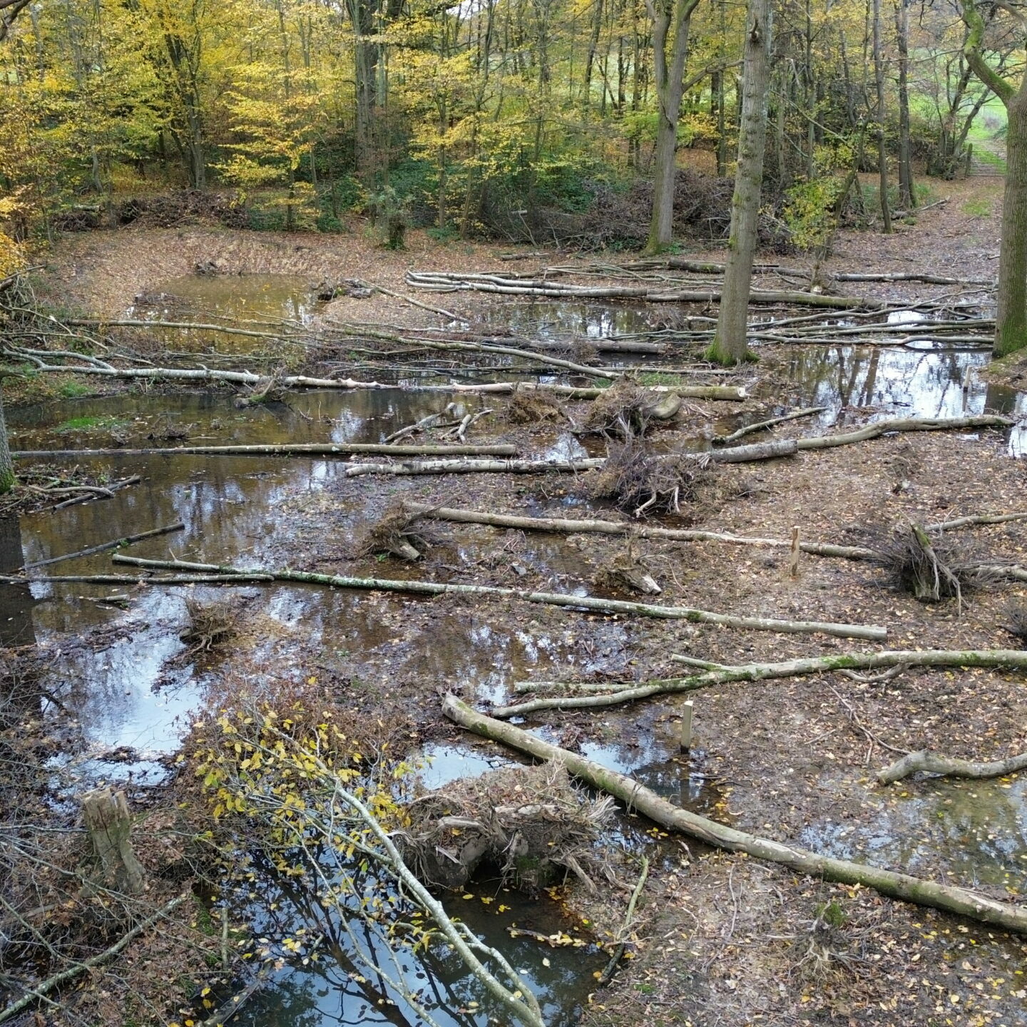 River Beult Flood Management