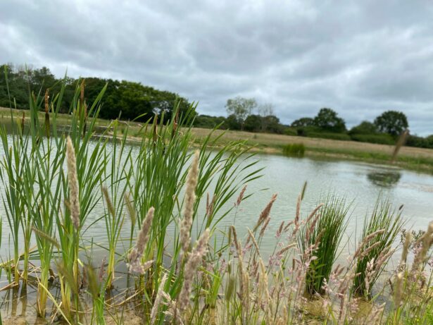 Wetland Creation at Coldharbour Farm