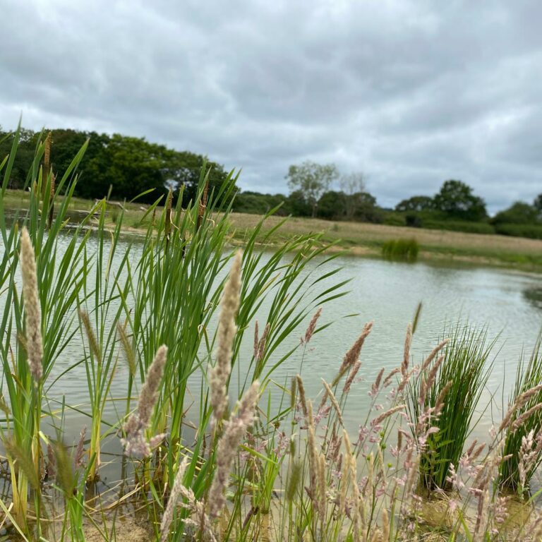 Wetland Creation at Coldharbour Farm