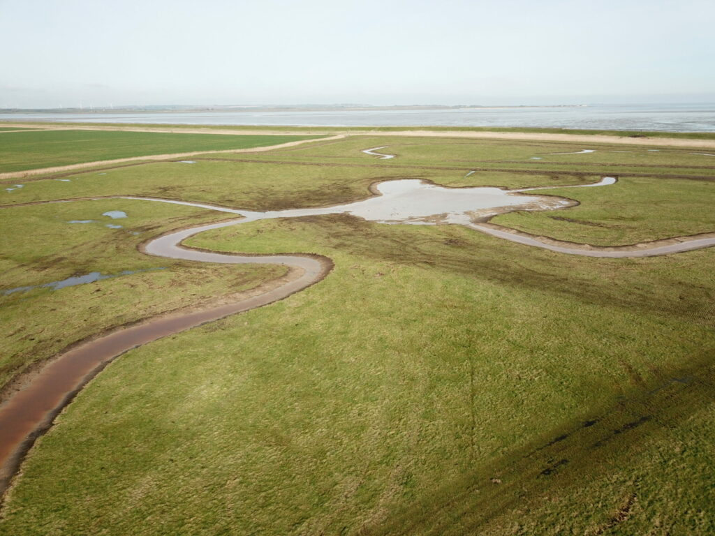 North Kent wetland project