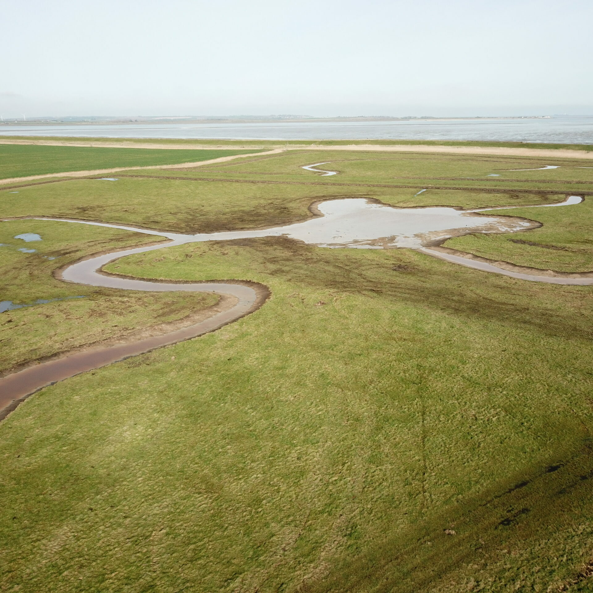 North Kent wetland project